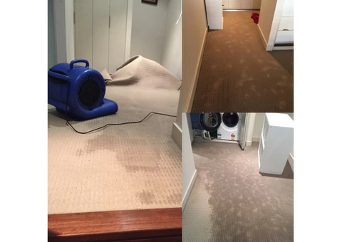 Revive Water Damage Restoration Canberra - 2/6