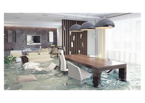Flood Damage Restoration Toowong - 1/4