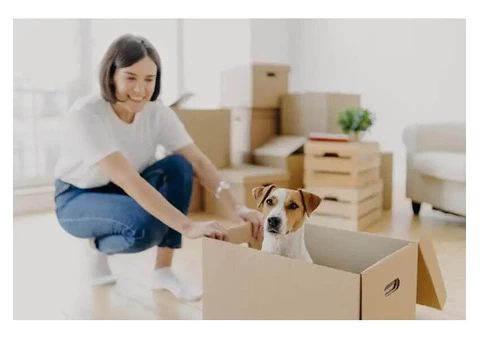 VazPower Removals and Storage - 3/4