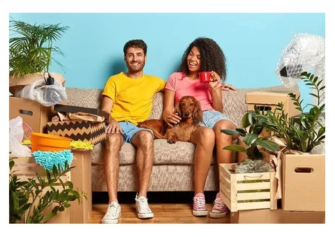 VazPower Removals and Storage - 4/4