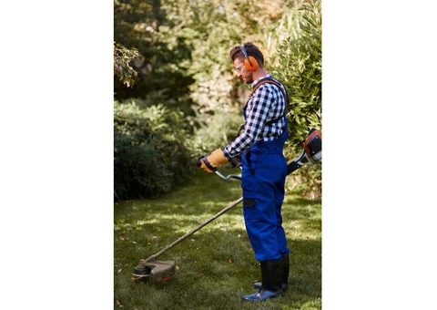 Tree Trimming Services in Lane cove