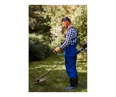 Tree Trimming Services in Lane cove