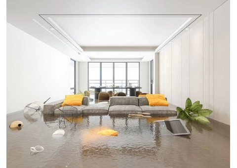 Flood Damage Restoration Coorparoo - 2/2