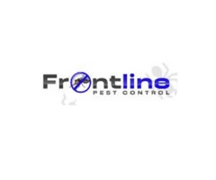 Front Line Bee Removal Sydney