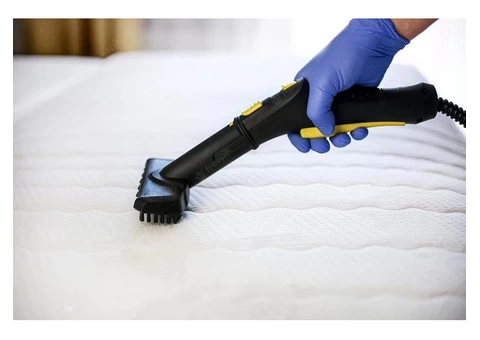 The Essence Of A Quality Carpet Cleaner In Melbourne - 2/3