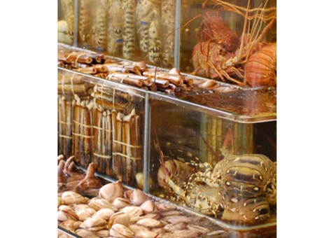Best Seafood Market Sydney That Is Kingseafood