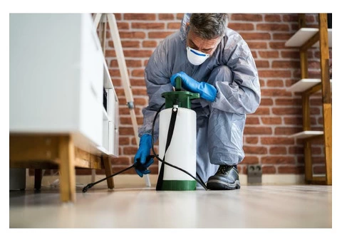 Get the best pest control service now!