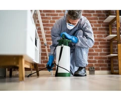 Get the best pest control service now!