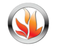 FireSafe Quality Fire Protection Services