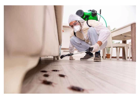 Hire Best Cockroach Exterminators in Clyde
