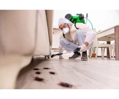 Hire Best Cockroach Exterminators in Clyde
