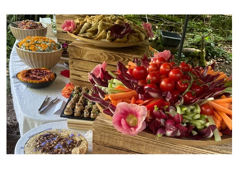 Vegetarian Indian Catering Services