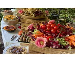 Vegetarian Indian Catering Services