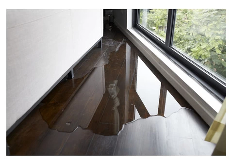 Flood Damage Indooroopilly