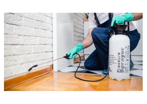 SAMS Pest Control Sunshine Coast - 1/4