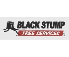 tree removal adelaide hills