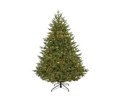 Buy a Stunning Range of Christmas Trees