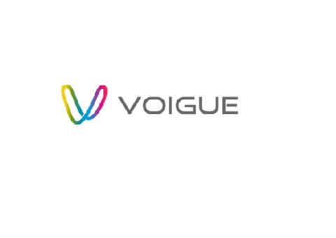 Best Australian support service providers at Voigue.