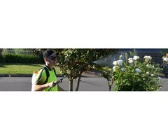 Lawn & Garden Weed Spraying Services in Brisbane