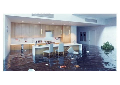 Flood Damage Restoration Newstead