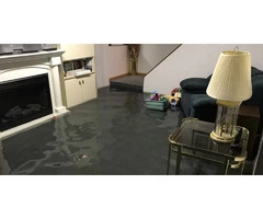 Flood Damage Restoration Paddington
