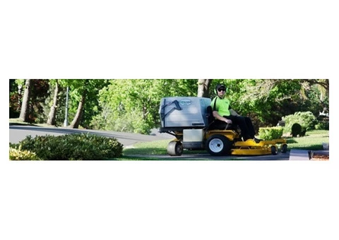 Best Tree Trimming Services Provider in Canberra