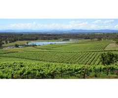 Tour The Hunter Valley With an Expert Guide
