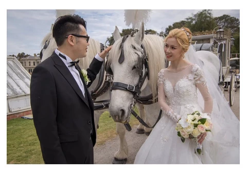 Best Wedding Photographer in Melbourne: Capturing Memories! - 4/4