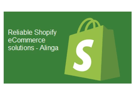 Shopify Ecommerce Solutions - Build Your Online Store with Ease