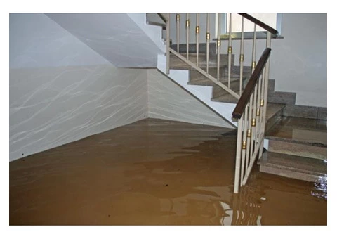 Flood Damage Restoration Bruce