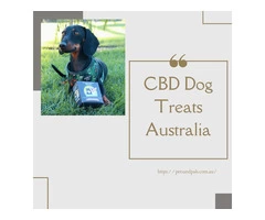 De-Stress Your Pooch with these Tasty Treats