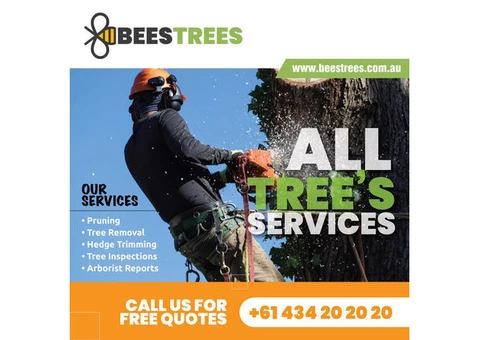 Tree Removal Service near Me