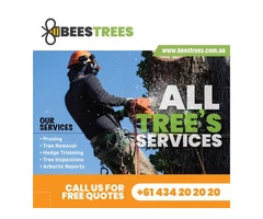 Tree Removal Service near Me