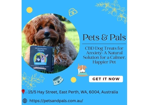 CBD Dog Treats for Anxiety: A Natural Solution for a Calmer, Happier Pet