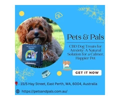 CBD Dog Treats for Anxiety: A Natural Solution for a Calmer, Happier Pet