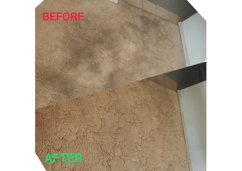 Hire experts for end of lease carpet cleaning services