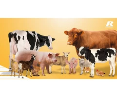Animal Feed Suppliers Australia