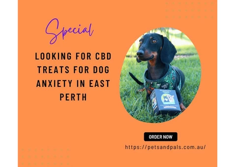 Looking for CBD Treats For Dog Anxiety in East Perth