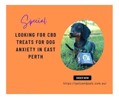 Looking for CBD Treats For Dog Anxiety in East Perth