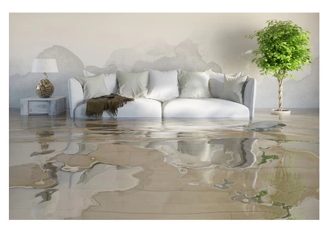 Flood Damage Restoration Phillip - 4/5