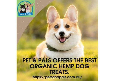 Pet & Pals offers the best organic hemp dog treats.
