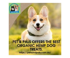 Pet & Pals offers the best organic hemp dog treats.