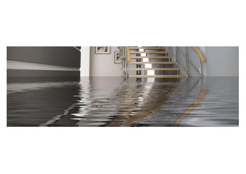 Flood Damage Restoration Bondi Junction