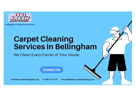 Professional Carpet Cleaning Services in Bellingham