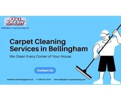 Professional Carpet Cleaning Services in Bellingham
