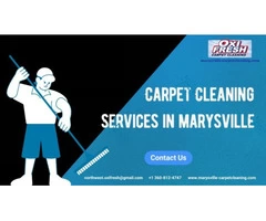 Revitalize Your Home with Professional Carpet Cleaning in Marysville