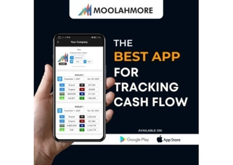 Moolahmore - Financial Forecasting and Cash Flow Tool - 2/2