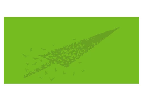 Dovetail Brand Engagement Austrlia - 2/4