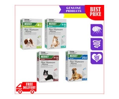 Neovet for Flea Worm and Heartworm diseases of your dog Generic Advocate