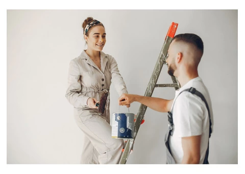 Professional Painting & Renovation Service